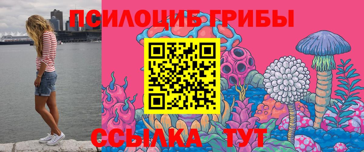 Галлюциногенные грибы Cubensis  наркотики  Сокол  Вход с VPN 