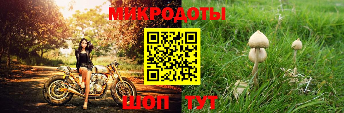 Галлюциногенные грибы ЛСД Сокол