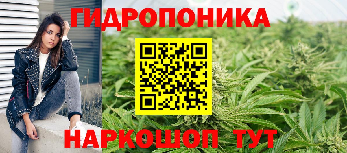 Каннабис гибрид  Канабис семена  Вход с VPN  Сокол  Бошки Шишки SATIVA & INDICA 